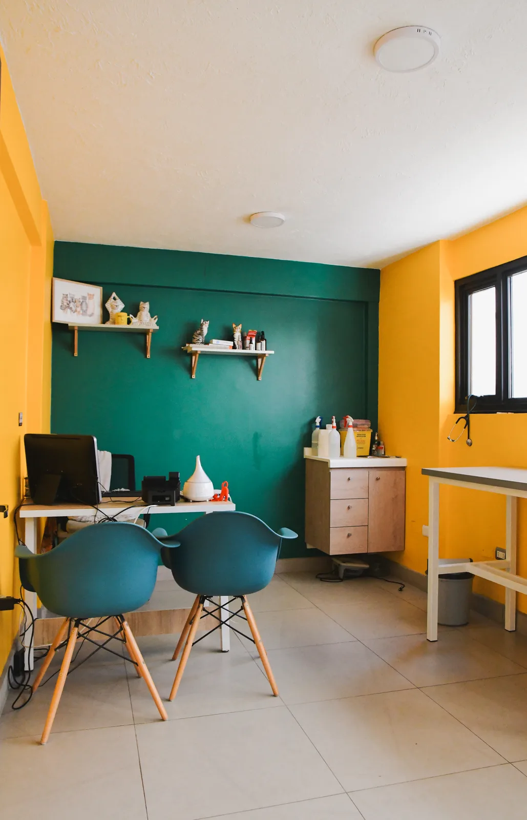 Sala de atención felina de Hospital Veterinario Arrayán